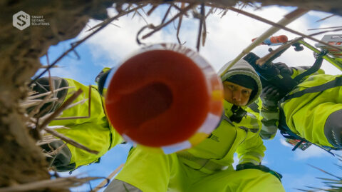 Smart Seismic Solutions Stryde Layout Danemark Carbon Capture Exploration